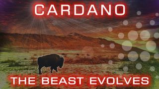 Cardano (ADA) The Beast Evolves | Cardano Insights
